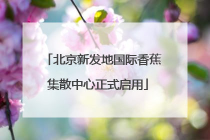 北京新发地国际香蕉集散中心正式启用