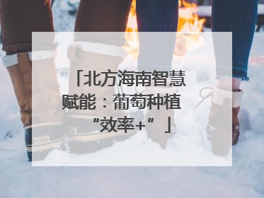 北方海南智慧赋能：葡萄种植“效率+”