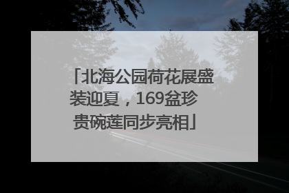 北海公园荷花展盛装迎夏，169盆珍贵碗莲同步亮相