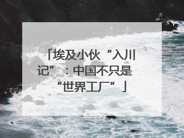 埃及小伙“入川记”：中国不只是“世界工厂”