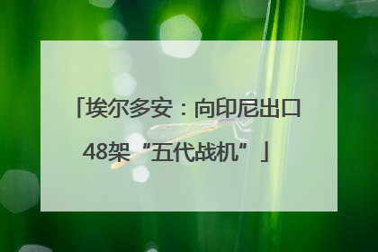 埃尔多安：向印尼出口48架“五代战机”