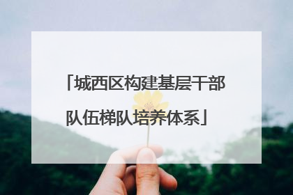 城西区构建基层干部队伍梯队培养体系