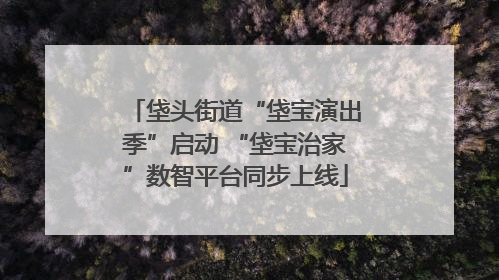 垡头街道“垡宝演出季”启动 “垡宝治家”数智平台同步上线