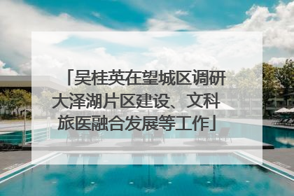 吴桂英在望城区调研大泽湖片区建设、文科旅医融合发展等工作