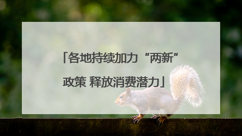 各地持续加力“两新”政策 释放消费潜力