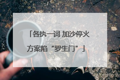 各执一词 加沙停火方案陷“罗生门”