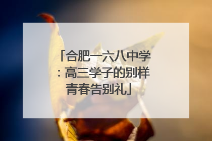合肥一六八中学：高三学子的别样青春告别礼
