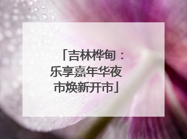 吉林桦甸：乐享嘉年华夜市焕新开市