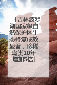 吉林波罗湖国家级自然保护区生态修复成效显著，珍稀鸟类10年增加5倍