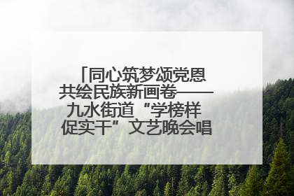 同心筑梦颂党恩 共绘民族新画卷——九水街道“学榜样 促实干”文艺晚会唱响民族团结主旋律