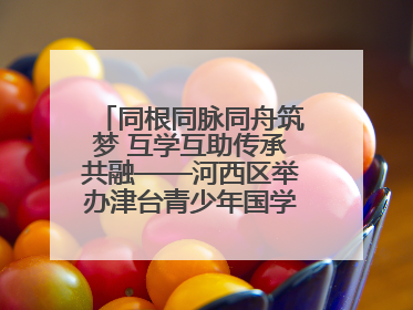 同根同脉同舟筑梦 互学互助传承共融——河西区举办津台青少年国学交流活动