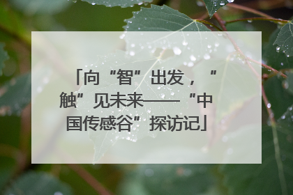 向“智”出发，“触”见未来——“中国传感谷”探访记