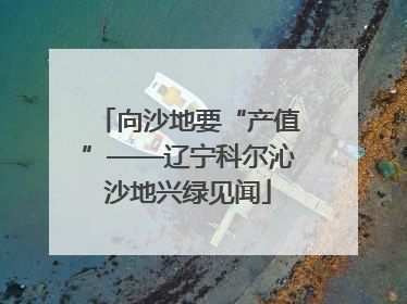 向沙地要“产值”——辽宁科尔沁沙地兴绿见闻