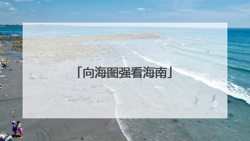向海图强看海南