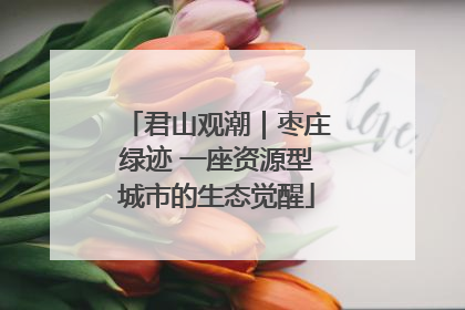 君山观潮｜枣庄绿迹 一座资源型城市的生态觉醒