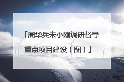 周华兵未小刚调研督导重点项目建设（图）