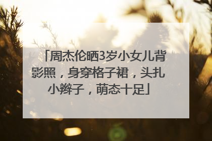 周杰伦晒3岁小女儿背影照，身穿格子裙，头扎小辫子，萌态十足