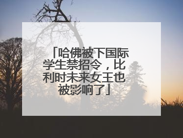 哈佛被下国际学生禁招令，比利时未来女王也被影响了