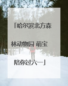 哈尔滨北方森林动物园 萌宝陪你过六一