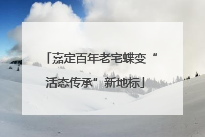 嘉定百年老宅蝶变“活态传承”新地标