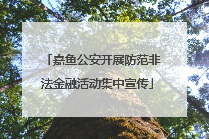 嘉鱼公安开展防范非法金融活动集中宣传