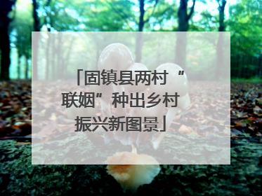 固镇县两村“联姻”种出乡村振兴新图景