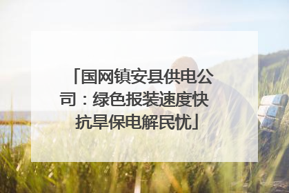国网镇安县供电公司：绿色报装速度快 抗旱保电解民忧