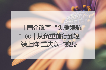国企改革“头雁领航”③｜从负重前行到轻装上阵 重庆以“瘦身”谋“健体”