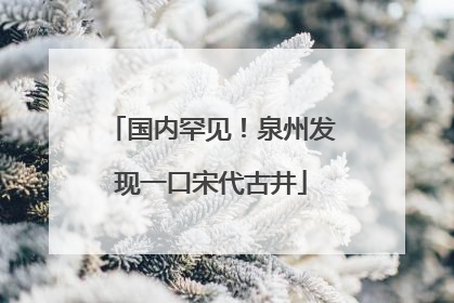 国内罕见！泉州发现一口宋代古井