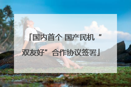国内首个 国产民机“双友好”合作协议签署