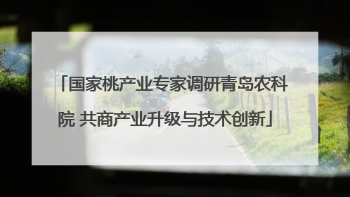 国家桃产业专家调研青岛农科院 共商产业升级与技术创新