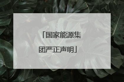 国家能源集团严正声明