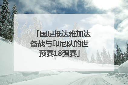 国足抵达雅加达备战与印尼队的世预赛18强赛