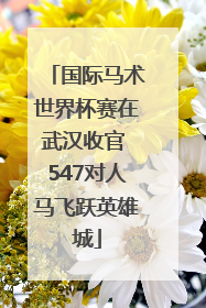 国际马术世界杯赛在武汉收官 547对人马飞跃英雄城