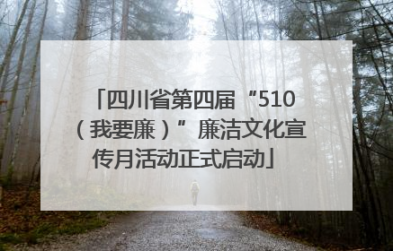 四川省第四届“510（我要廉）”廉洁文化宣传月活动正式启动