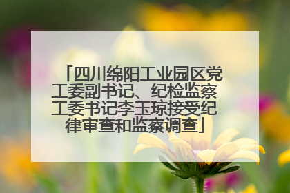 四川绵阳工业园区党工委副书记、纪检监察工委书记李玉琼接受纪律审查和监察调查