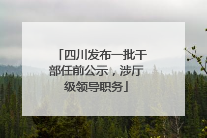 四川发布一批干部任前公示，涉厅级领导职务