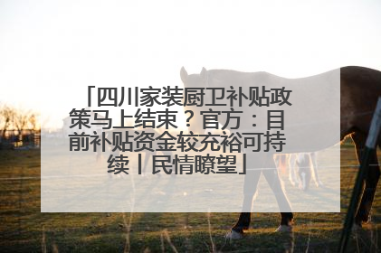 四川家装厨卫补贴政策马上结束？官方：目前补贴资金较充裕可持续丨民情瞭望