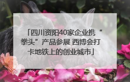 四川资阳40家企业携“拳头”产品参展 西博会打卡地铁上的创业城市