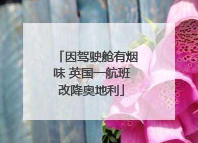 因驾驶舱有烟味 英国一航班改降奥地利