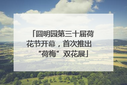 圆明园第三十届荷花节开幕，首次推出“荷梅”双花展