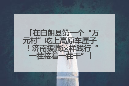 在白朗县第一个“万元村”吃上高原车厘子！济南援藏这样践行“一茬接着一茬干”