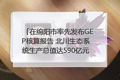 在绵阳市率先发布GEP核算报告 北川生态系统生产总值达590亿元｜新闻发布最前线