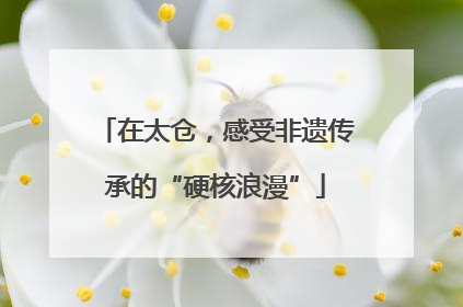 在太仓，感受非遗传承的“硬核浪漫”