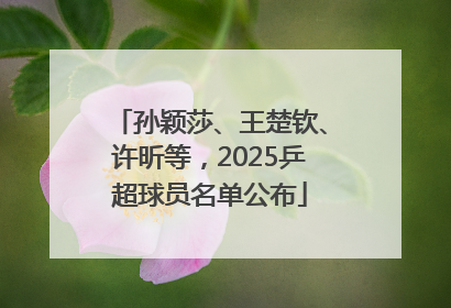 孙颖莎、王楚钦、许昕等，2025乒超球员名单公布