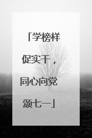 学榜样促实干，同心向党颂七一
