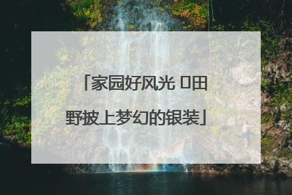 家园好风光 ⎮田野披上梦幻的银装