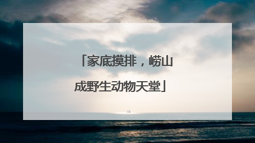 家底摸排，崂山成野生动物天堂