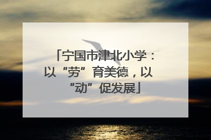宁国市津北小学：以“劳”育美德，以“动”促发展