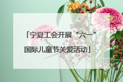 宁夏工会开展“六一”国际儿童节关爱活动
